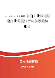 2024-2030年中国工业级碳酸锂行业发展分析与前景趋势报告