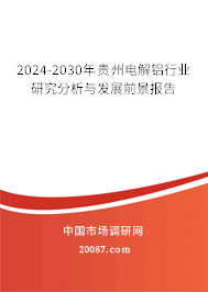 2024-2030年贵州电解铝行业研究分析与发展前景报告