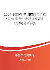 2024-2030年中国抗静电柔软剂2ME型行业市场调研及发展趋势分析报告