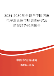 2024-2030年全球与中国汽车电子离合器市场调查研究及前景趋势预测报告