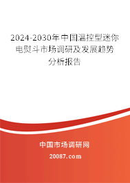 2024-2030年中国温控型迷你电熨斗市场调研及发展趋势分析报告