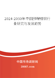 2024-2030年中国预埋槽钢行业研究与发展趋势