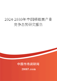 2024-2030年中国横截面产业竞争态势研究报告