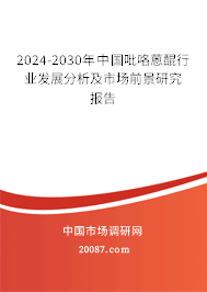 2024-2030年中国吡咯蒽醌行业发展分析及市场前景研究报告