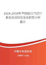 2024-2030年中国增压汽缸行业发展调研及发展趋势分析报告