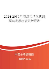 2024-2030年海绵市场现状调研与发展趋势分析报告