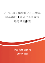 2024-2030年中国2,5-二甲基硝基苯行业调研及未来发展趋势预测报告