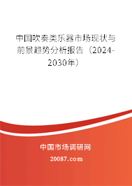 中国吹奏类乐器市场现状与前景趋势分析报告（2024-2030年）