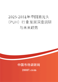 2025-2031年中国激光头(PUH)行业发展深度调研与未来趋势 2025-2031年中国激光头(PUH)行业发展深度调研与未来趋势