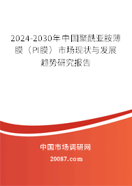 2024-2030年中国聚酰亚胺薄膜（PI膜）市场现状与发展趋势研究报告