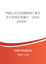 中国立式直线磨边机行业现状与发展前景报告（2024-2030年）