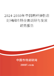 2024-2030年中国明杆弹性座封闸阀市场全面调研与发展趋势报告