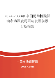 2024-2030年中国葡萄糖酸锑钠市场深度调研与发展前景分析报告