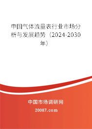 中国气体流量表行业市场分析与发展趋势（2024-2030年）