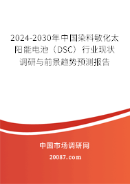 2024-2030年中国染料敏化太阳能电池（DSC）行业现状调研与前景趋势预测报告