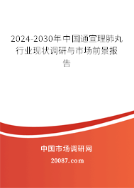 2024-2030年中国通宣理肺丸行业现状调研与市场前景报告