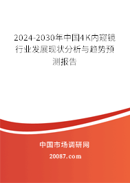 2024-2030年中国4K内窥镜行业发展现状分析与趋势预测报告