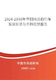 2024-2030年中国电动自行车发展现状与市场前景报告