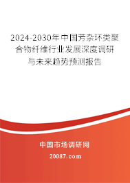 2024-2030年中国芳杂环类聚合物纤维行业发展深度调研与未来趋势预测报告