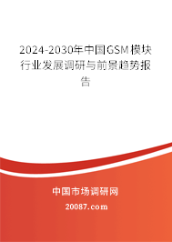 2024-2030年中国GSM模块行业发展调研与前景趋势报告