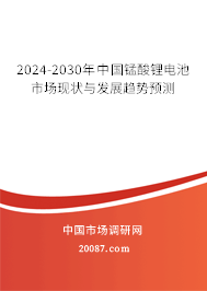 2024-2030年中国锰酸锂电池市场现状与发展趋势预测