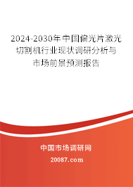 2024-2030年中国偏光片激光切割机行业现状调研分析与市场前景预测报告