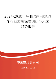 2024-2030年中国燃料电池汽车行业发展深度调研与未来趋势报告