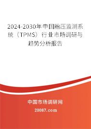 2024-2030年中国胎压监测系统（TPMS）行业市场调研与趋势分析报告