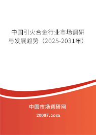 中国引火合金行业市场调研与发展趋势(2025-2031年) 中国引火合金行业市场调研与发展趋势(2025-2031年)