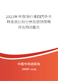 2023年甲酸钠行业国内外市场发展比较分析及营销策略评估预测报告