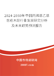 2024-2030年中国丙烯基乙基愈疮木酚行业发展研究分析及未来趋势预测报告