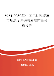 2024-2030年中国电动巡逻车市场深度调研与发展前景分析报告