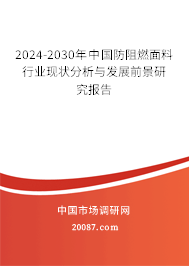 2024-2030年中国防阻燃面料行业现状分析与发展前景研究报告