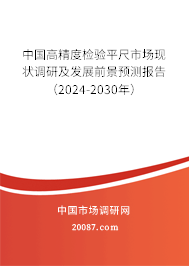 中国高精度检验平尺市场现状调研及发展前景预测报告（2024-2030年）