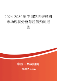 2024-2030年中国路面破碎机市场现状分析与趋势预测报告