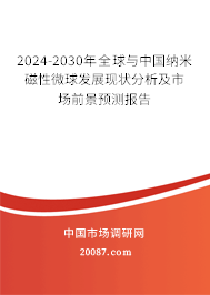 2024-2030年全球与中国纳米磁性微球发展现状分析及市场前景预测报告