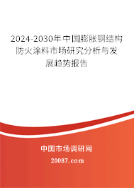 2024-2030年中国膨胀钢结构防火涂料市场研究分析与发展趋势报告