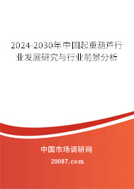 2024-2030年中国起重葫芦行业发展研究与行业前景分析