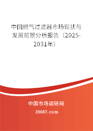 中国燃气过滤器市场现状与发展前景分析报告(2025-2031年) 中国燃气过滤器市场现状与发展前景分析报告(2025-2031年)