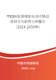 中国新能源储能电池市场调查研究与趋势分析报告（2024-2030年）