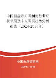 中国新能源开发利用行业现状调研及未来发展趋势分析报告（2024-2030年）