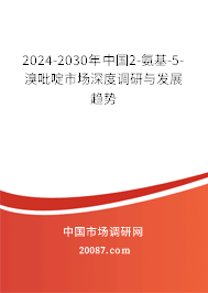 2024-2030年中国2-氨基-5-溴吡啶市场深度调研与发展趋势