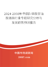 2024-2030年中国3-磷酸甘油酸激酶行业专题研究分析与发展趋势预测报告