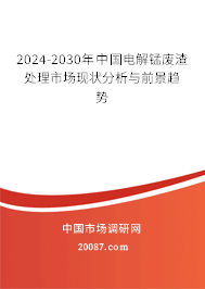 2024-2030年中国电解锰废渣处理市场现状分析与前景趋势