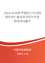 2024-2030年中国动力电池管理系统行业发展调研与前景趋势预测报告