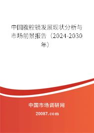 中国腹腔镜发展现状分析与市场前景报告（2024-2030年）