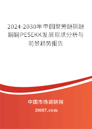 2024-2030年中国聚芳醚砜醚酮酮PESEKK发展现状分析与前景趋势报告