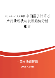 2024-2030年中国量子计算芯片行业现状与发展趋势分析报告