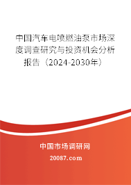 中国汽车电喷燃油泵市场深度调查研究与投资机会分析报告（2024-2030年）