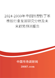 2024-2030年中国热塑性丁苯橡胶行业发展研究分析及未来趋势预测报告